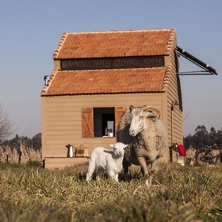 Be And See In Nature Ovar Exterior foto